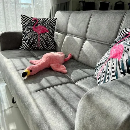 Flamingo - Stylish Near The Beach, In The Heart Of * Alanya